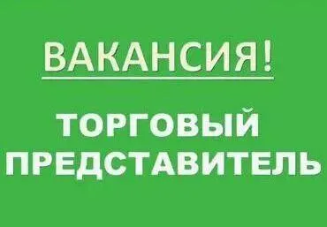 ❗️требуется торговый представитель! ▫️бытовая химия и косметика -официальное трудоустройство; -компе... - фотография