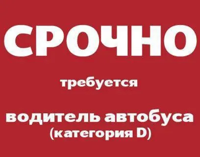 ✅требуется водитель автобуса, категория d на пригородный маршрут, мариуполь - володарский муниципаль... - фотография