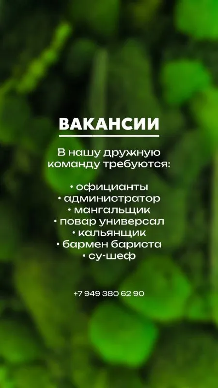 В команду гастробара требуются сотрудники: администратор бармен/бариста мангальщик повар универсал о... - фотография