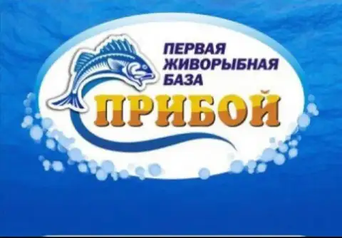 ‼️‼️Требуется грузчик ‼️‼️

‼️‼️Требуется водитель‼️‼️

Обязанности водителя:
- Развоз товара по тер... - фотография