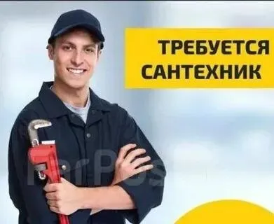 ❗В компанию требуется сантехник

Мы предлагаем:
➡️ Оформление согласно тк рф
➡️ Стабильная выплата з... - фотография