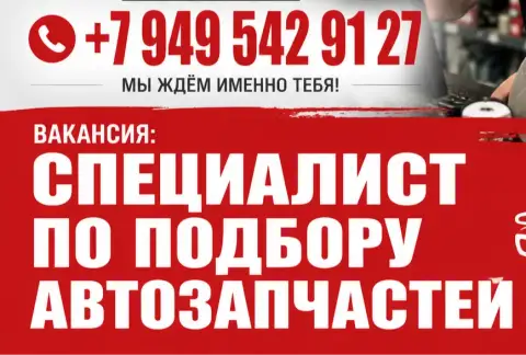 Специалист по подбору автозапчастей в мариуполе. .
Опыт - от 1 года работы с автозапчастями.
Зарплат... - фотография