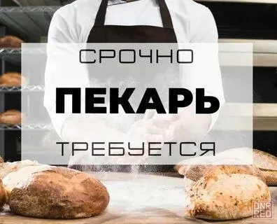 ✅На постоянную работу, в пекарню требуется:

📌Пекарь универсал

📌С опытом работы.

☎️+79495153198 Галина - фотография - 1