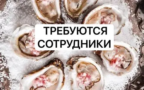 ‼️✔️Работа smm от 15000₽ в макеевке с опытом работы ❗️❗️❗️

Также требуются:
✔️Водитель доставки;
✔️Бухгалтер;
✔️Бариста - бармен;
✔️Мангальщик;
✔️Сушист;
✔️Повар холодного и горячих цехов;
✔️Сборщик заказов с опытом кассовой дисциплины.

🔥Официальное трудоустройство
🔥Возможность профессионального роста и обучения
🔥Дружественную и профессиональную атмосферу!

Если хотите присоединиться к нашей команде, будем рады рассмотреть вашу кандидатуру!‼️‼️❤️📞

Мы находимся в самом безопасном месте города макеевки в центрально-городском районе.

🫶✨Если ты готов учиться и развиваться-ждём тебя!

💌🏃🏼‍♀️Контактный телефон:
+7 (949) 537-17-21 Анна - фотография - 1