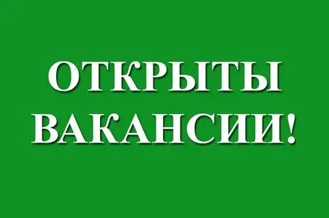❗Требуются сотрудники❗

🟢Водитель
(Категория b, bc)
Зарплата 80 000 / 85 000 ₽ 

🟢Технолог
Зарплата от 100000₽

🟢Диспетчер
Приёма заявок на хлебозавод
График 2/2
Зп 45000₽

✔️Официальное трудоустройство

☎️+79495992601 Или пишите в мах

Пгт. Мангуш - фотография - 1